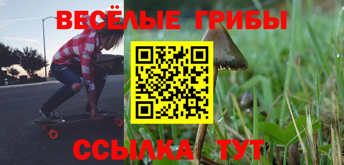 Псилоцибиновые грибы GOLDEN TEACHER Миллерово