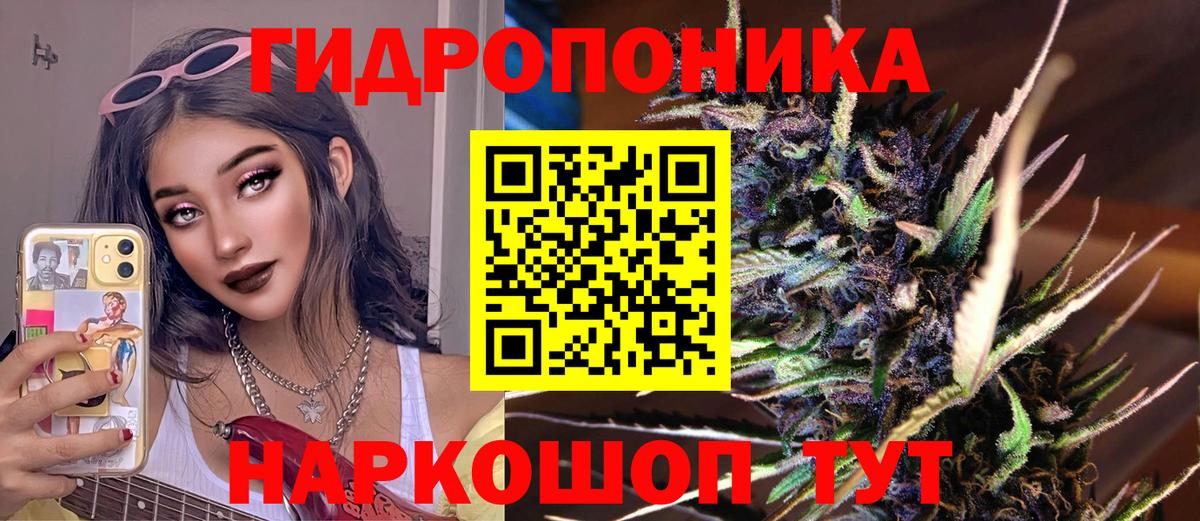 Канабис сатива  МАРИХУАНА ГИДРОПОН  Миллерово  Бошки Шишки Bruce Banner  Вход с VPN 